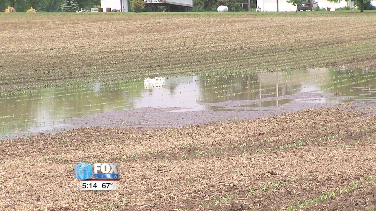 Concerns raised over farmers' mental health due to poor weather and financial strain 1.jpg